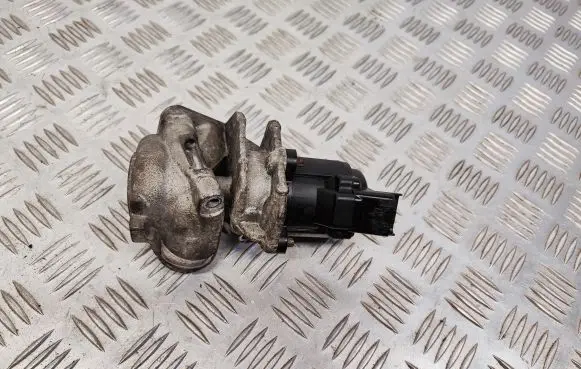 EGR valve