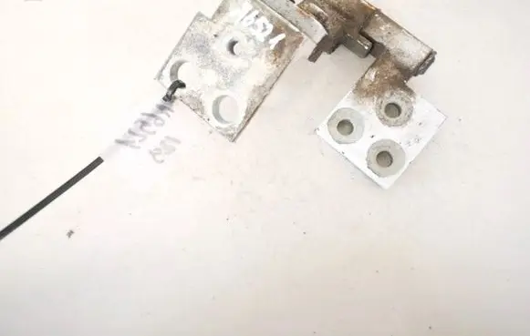 Tailgate/trunk/boot hinge