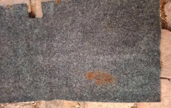 Mercedes-Benz 280 450 W116 Interior carpet 