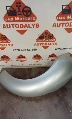 Volkswagen New Beetle Fender 1C0821107B