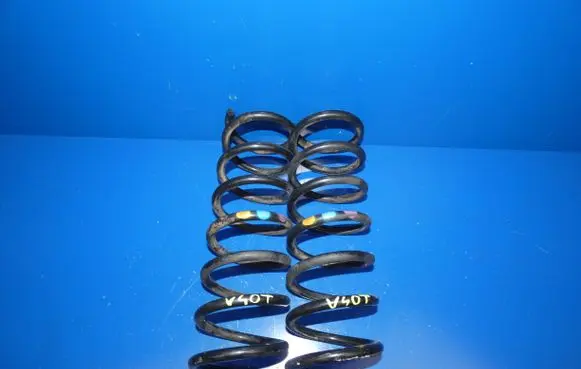 Rear coil spring