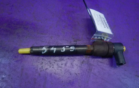 Hyundai Getz Fuel injector 0445110256