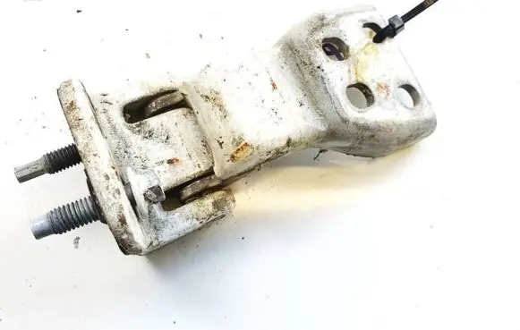 Rear door lower hinge