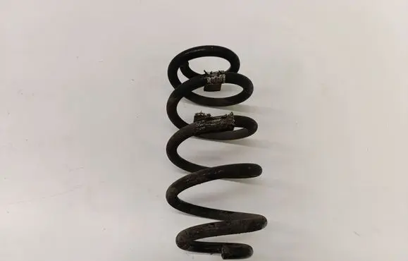 Rear coil spring