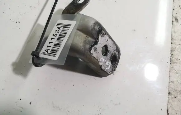 Nissan Tiida C11 Rear door lower hinge 