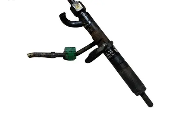 Renault Scenic II - Grand scenic II Fuel injector EJBR05101D 8200676774 H8200421897