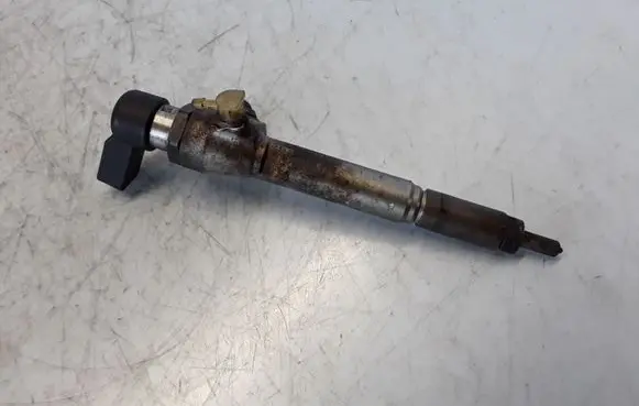 Renault Megane III Fuel injector 82002940788
