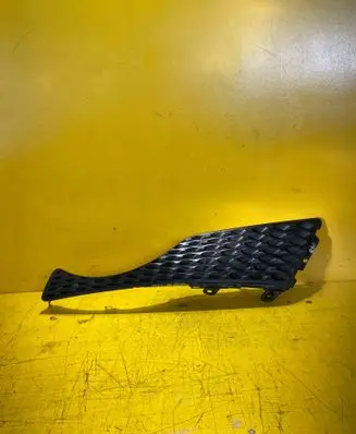 Nissan Juke I F15 Front bumper lower grill 620751KA6A