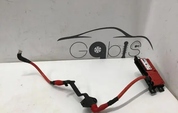 BMW 4 G22 G23 G24 G26 Positive wiring loom 6994419