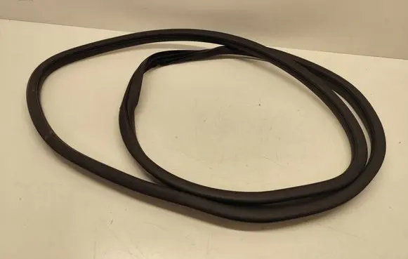 Hyundai Santa Fe Rubber seal front door (on door) 