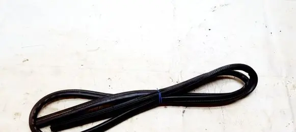 Mitsubishi Colt Rubber seal front coupe door 