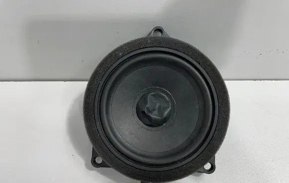 BMW X6 G06 Rear door speaker 2622518
