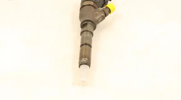 Citroen Berlingo Fuel injector 0445110062