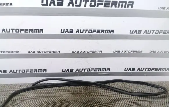 Nissan Qashqai Rear door rubber seal (on body) 