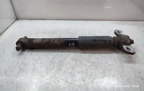 Rear shock absorber/damper