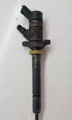 Citroen C5 Fuel injector 0445110188