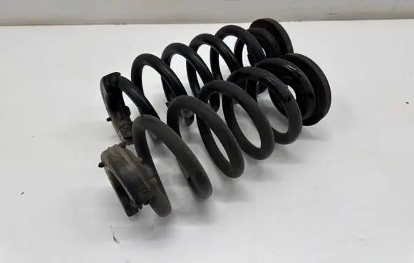 Rear coil spring