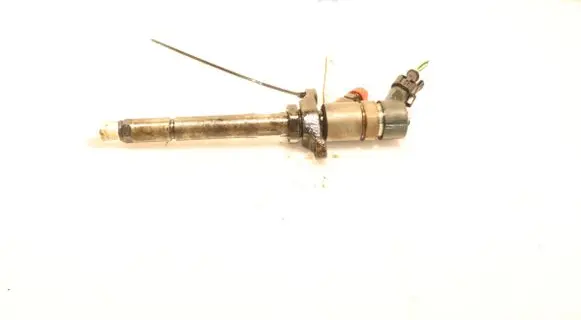 Ford C-MAX I Fuel injector