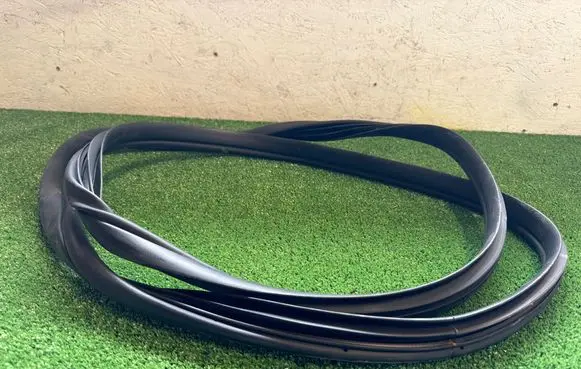 KIA EV6 Rubber seal rear door