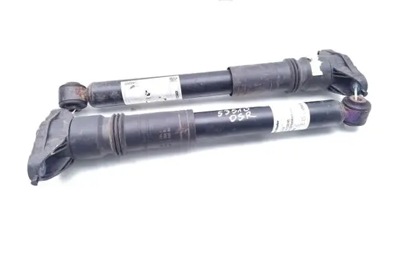 Citroen C4 X Rear shock absorber/damper 9841379480 9824423480 9824423680