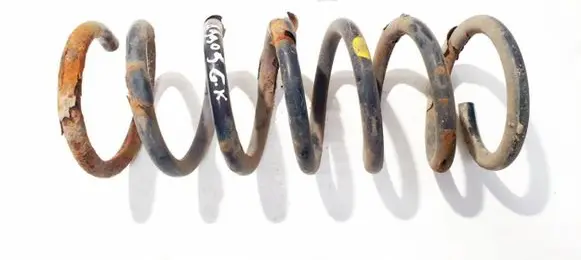 Ford S-MAX Rear coil spring