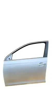 Volkswagen Golf V Front door 