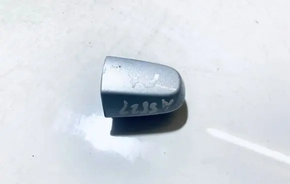 Toyota RAV 4 (XA30) Loading door cover/cap 