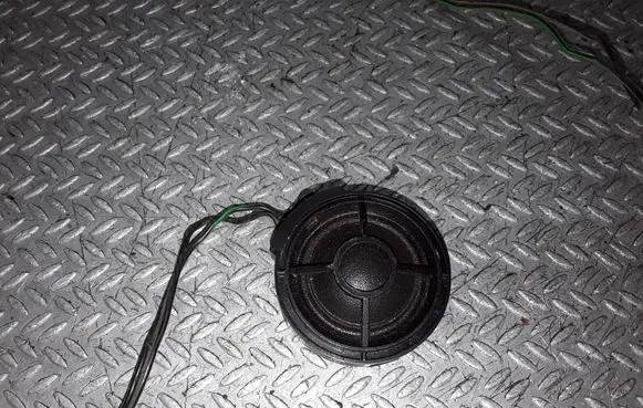 Front door high frequency speaker
