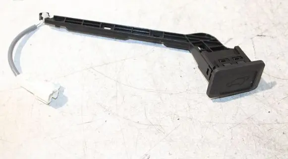 Toyota RAV 4 (XA50) Tailgate/boot open switch button 
