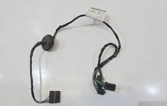 Mercedes-Benz B W245 Rear door wiring loom A1695408205