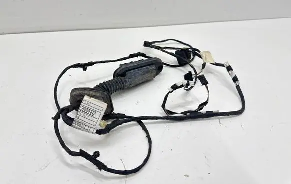 BMW 5 F10 F11 Rear door wiring loom 9256017 2000982 SG271ZG