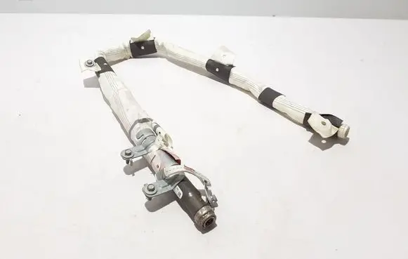 Tesla Model X Roof airbag 103675900F