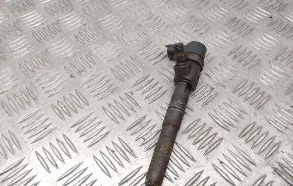Opel Insignia A Fuel injector 0445110423