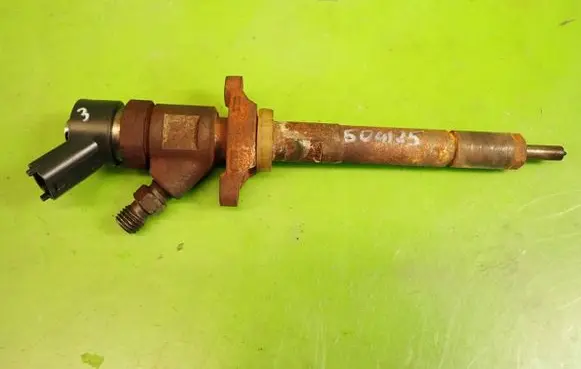 Citroen Xsara Picasso Fuel injector 0445110239606680