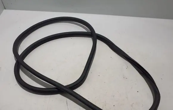 MG ZS Front door rubber seal 10229791