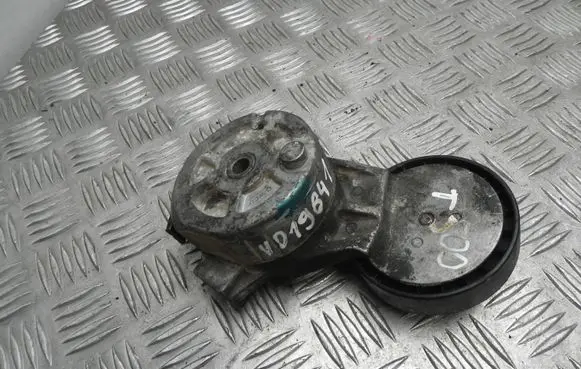 Saab 9-5 Timing belt tensioner 4898755 VD19841