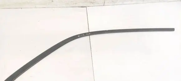 Rear door glass trim molding