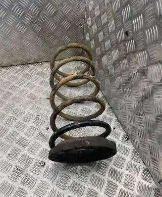 Rear coil spring