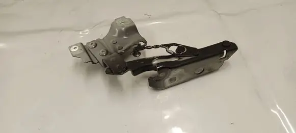 Peugeot 408 P54 Engine bonnet/hood hinges 9830840680