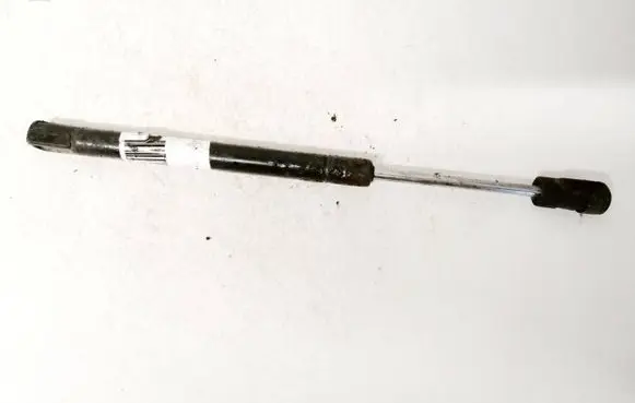 Tailgate/trunk strut/damper