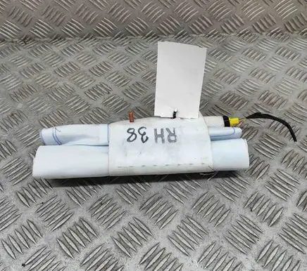 Tesla Model Y Seat airbag 107783000F