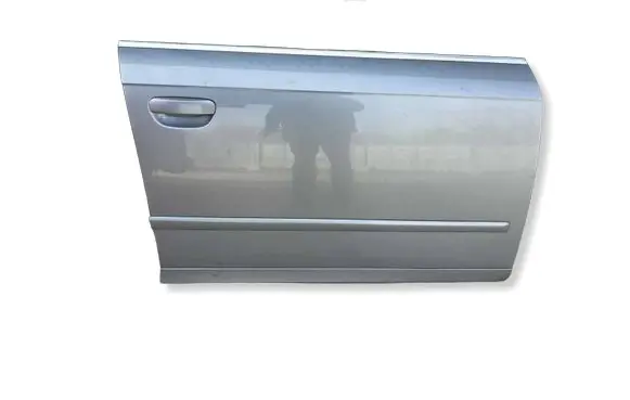 Audi A4 S4 B7 8E 8H Front door 