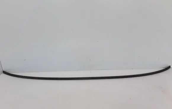 Volvo V60 Rubber seal front coupe door window 30799663