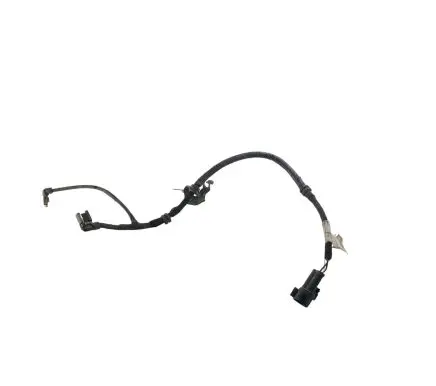 Other wiring loom