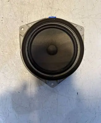 Rear door speaker