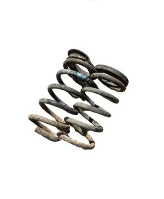 Rear coil spring