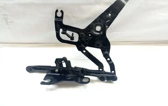 BMW X5 F15 Engine bonnet/hood hinges 17205310