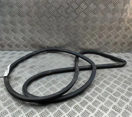 Lexus RX V Rubber seal rear door 6233148110