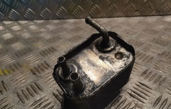 Mercedes-Benz C W202 Fuel cooler (radiator) 6110780079