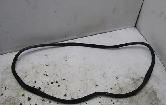 Renault Megane IV Rubber seal rear door 1111
